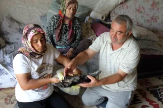 Yanginda Aile Felaketi 90 Bin Lira ve Hayvan Yemleri Kule