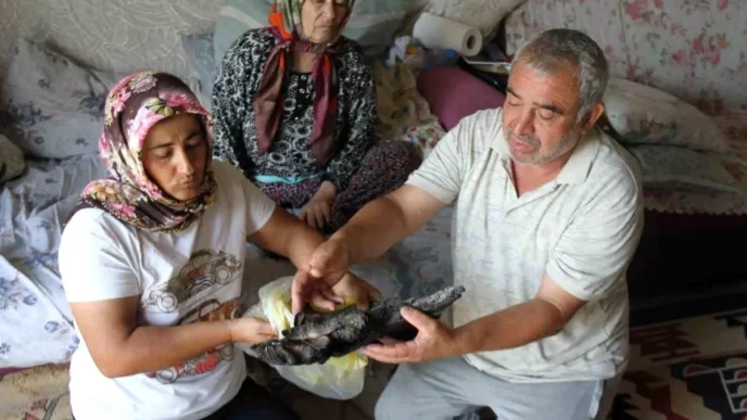 Yanginda Aile Felaketi 90 Bin Lira ve Hayvan Yemleri Kule
