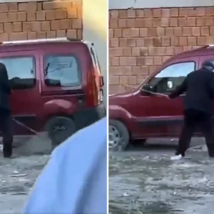 Yavru kopege sopayla defalarca vurdu