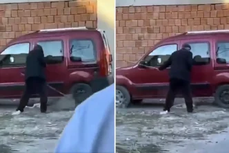 Yavru kopege sopayla defalarca vurdu