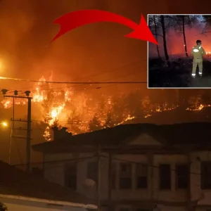 sakarya yangini 15 saattir suruyor alevlerin 18867468 5627 amp