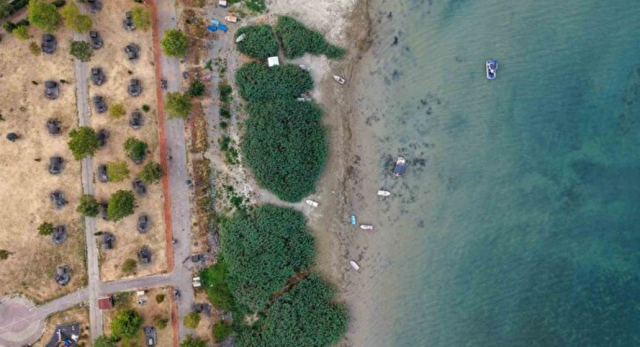 Sapanca Gölü'nde ne oldu, neden tehdit altında? - SON DAKİKA