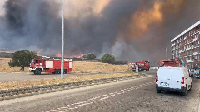 Çanakkale'de Orman Yangını Paniğe Neden Oldu