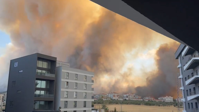 Çanakkale'de Orman Yangını Paniğe Neden Oldu