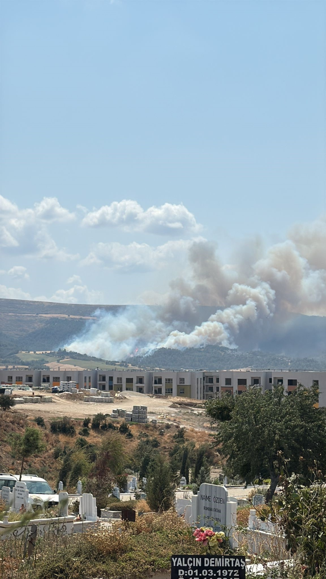 Çanakkale'de Orman Yangını Paniğe Neden Oldu