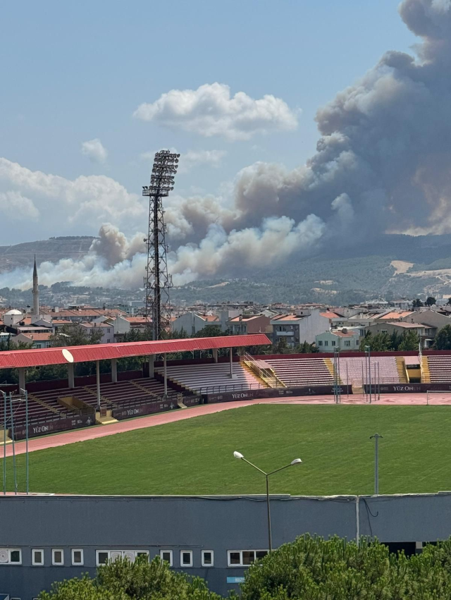 Çanakkale'de Orman Yangını Paniğe Neden Oldu