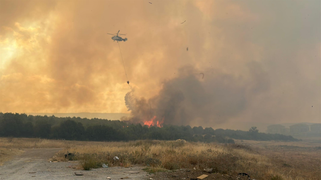 Çanakkale'de Orman Yangını Paniğe Neden Oldu