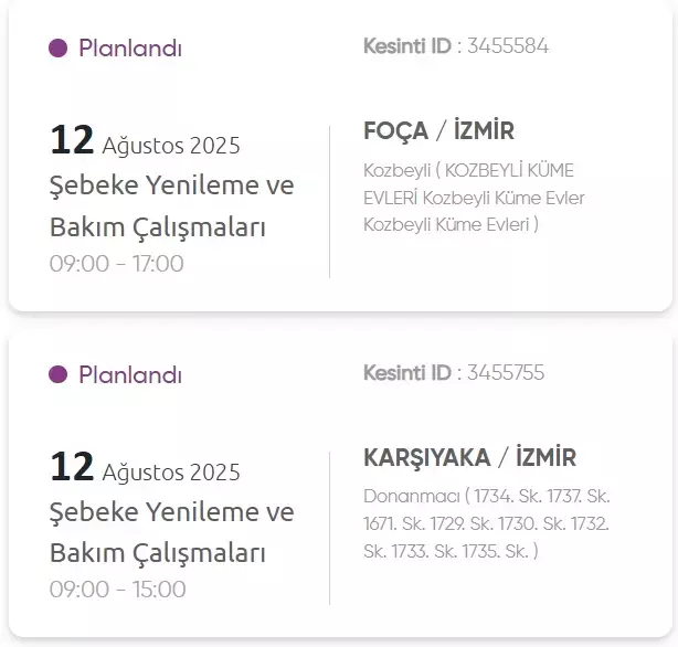 İzmir GEDİZ elektrik kesintisi! 12 Ağustos İzmir'de elektrik kesintisi ne zaman bitecek, elektrikler ne zaman gelecek?