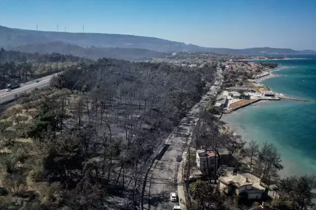 Çanakkale Merkez'de dün başlayan orman yangını büyük ölçüde kontrol altına alındı