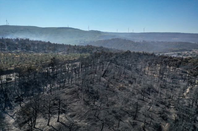 Çanakkale Merkez'de dün başlayan orman yangını büyük ölçüde kontrol altına alındı