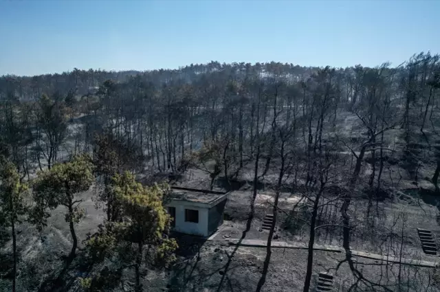 Çanakkale Merkez'de dün başlayan orman yangını büyük ölçüde kontrol altına alındı