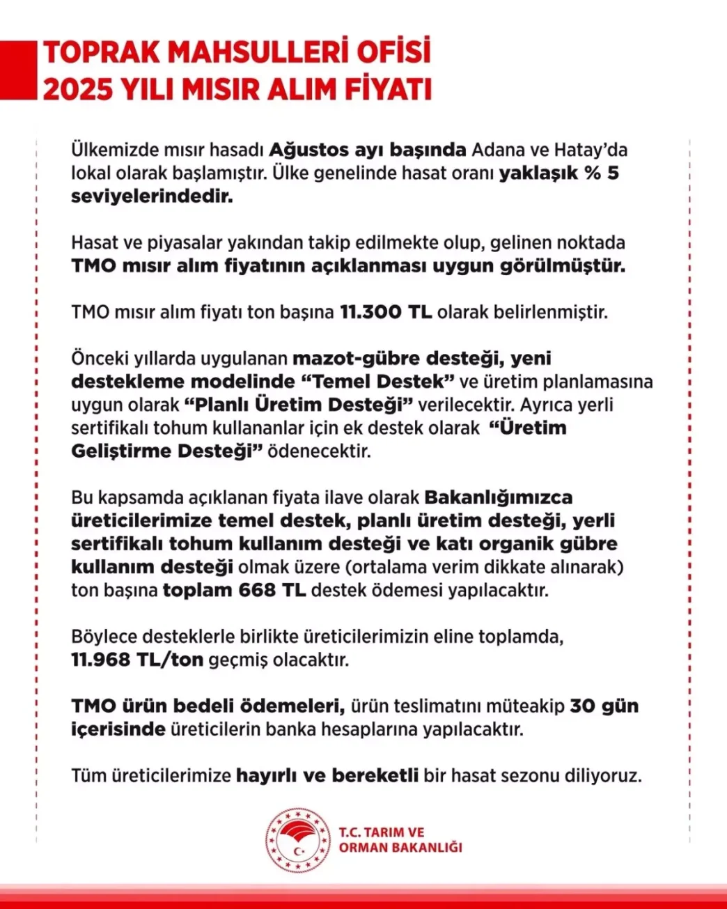 2025 Yili Misir Alim Fiyati Aciklandi Ton Basina 11 Bin