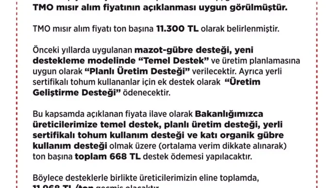 2025 Yili Misir Alim Fiyati Aciklandi Ton Basina 11 Bin