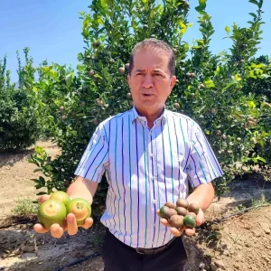 Adanada 475 Derece ile Sicaklik Rekoru Kirildi Narenciye Urunleri Zarar