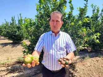 Adanada 475 Derece ile Sicaklik Rekoru Kirildi Narenciye Urunleri Zarar