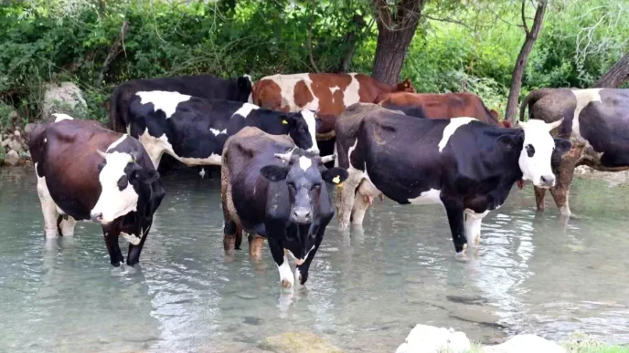 Adananin Kozan Ilcesinde Asiri Sicaklar Hayati Olumsuz Etkiliyor