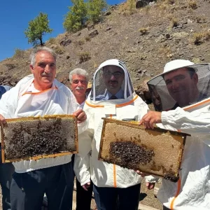 Adiyamanda Organik Bal Hasadi Basladi