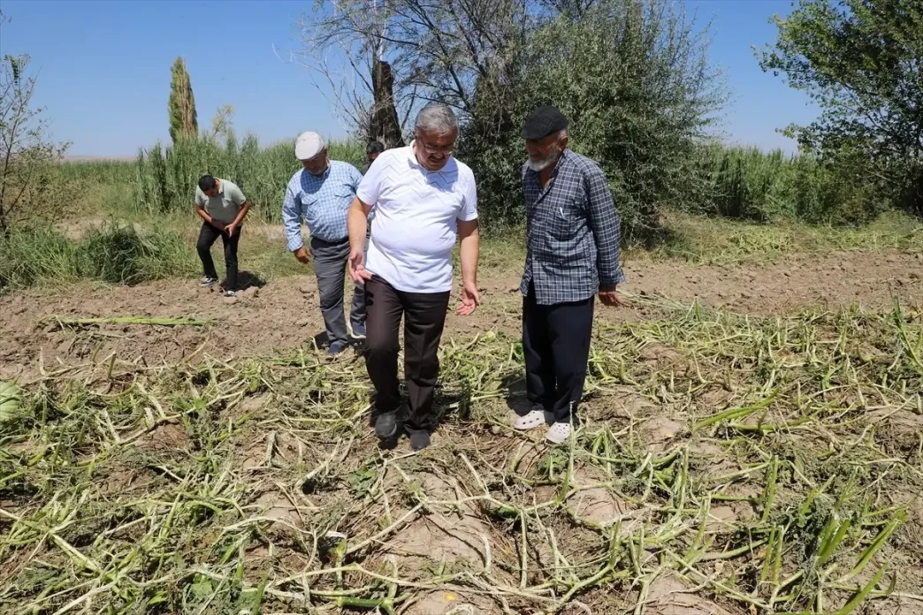 Afyonkarahisarda Dolu Hasari Tespiti Yapildi