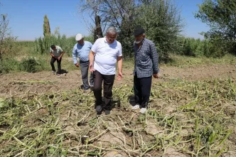 Afyonkarahisarda Dolu Hasari Tespiti Yapildi