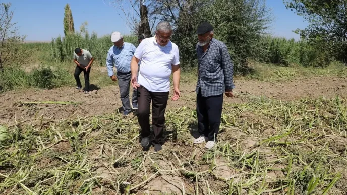 Afyonkarahisarda Dolu Hasari Tespiti Yapildi