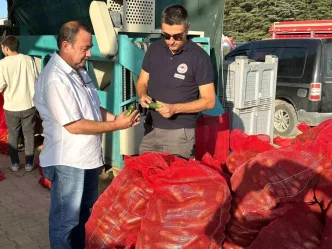 Afyonkarahisarda Kornison Salatalik Kontrolleri Devam Ediyor