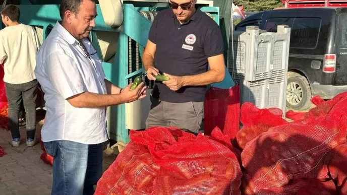 Afyonkarahisarda Kornison Salatalik Kontrolleri Devam Ediyor