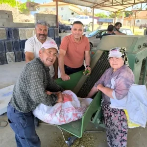 Afyonkarahisarda Kornison Salatalik Toplama Sezonu Basladi