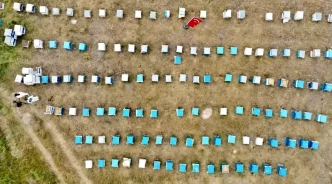 Agrida Kadinlar Ariciliga Yoneliyor Haberler