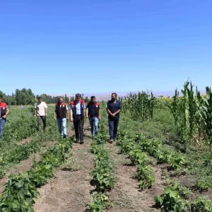 Agrida Sebze Fidesi Destegi Denetimleri Devam Ediyor