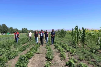 Agrida Sebze Fidesi Destegi Denetimleri Devam Ediyor