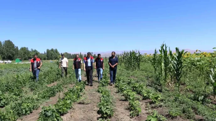 Agrida Sebze Fidesi Destegi Denetimleri Devam Ediyor