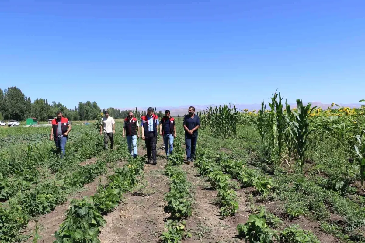 Agrida Sebze Fidesi Destegi Denetimleri Devam Ediyor