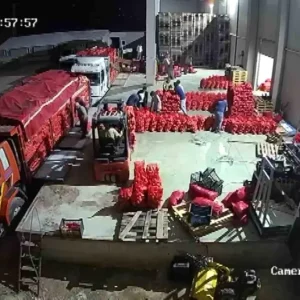 Amasya Sogani Avrupaya Ihrac Ediliyor