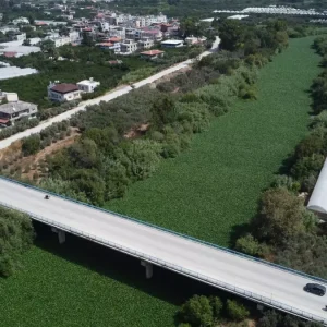 Asi Nehri Su Sumbulleriyle Kaplandi Balik Olumleri Yasandi