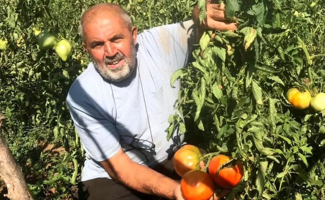 Ata Tohumu Domates Uretimi ile Gelecege Umut Tasiyor