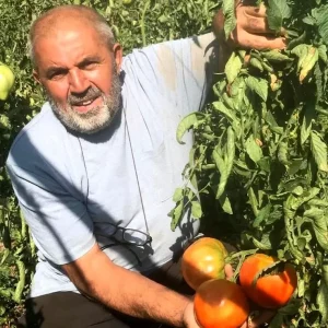 Ata Tohumu Domates Uretimi ile Gelecege Umut Tasiyor