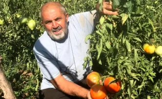 Ata Tohumu Domates Uretimi ile Gelecege Umut Tasiyor