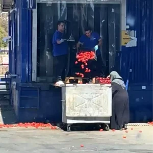 Atasehirde Zincir Markette Domatesler Cope Atildi