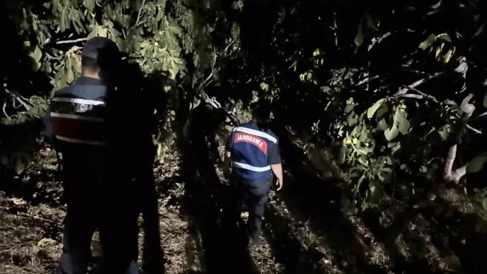 Aydinda Incir Hirsizliklarina Karsi Jandarma Onlemleri Artiyor