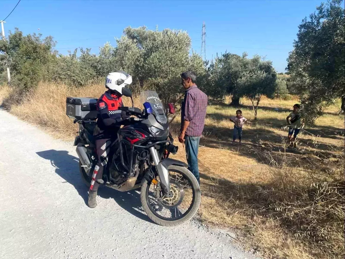 Aydinda Jandarmadan Incir Hirsizliklarina Karsi Onleyici Onlemler