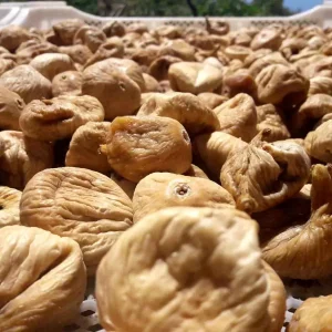 Aydinin Kuru Incir Ihracatinda Rekor 348 Milyon Dolar