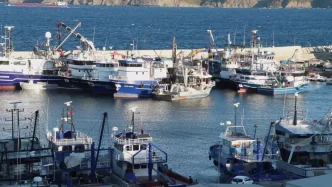 Balikcilar 1 Eyluldeki yeni av sezonundan umutlu Hamsi lufer cinekop