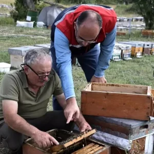 Bayburtta Aricilik Faaliyetleri ve Bal Hasadi Degerlendirildi