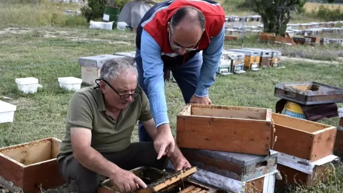 Bayburtta Aricilik Faaliyetleri ve Bal Hasadi Degerlendirildi