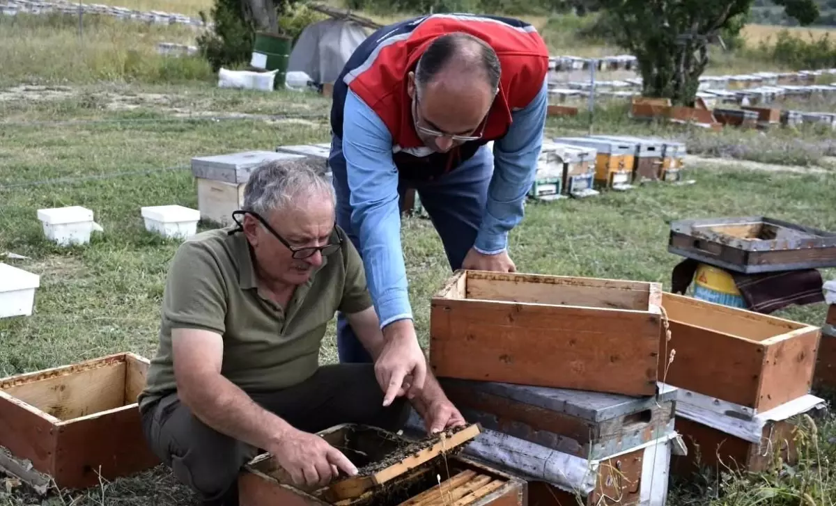 Bayburtta Aricilik Faaliyetleri ve Bal Hasadi Degerlendirildi