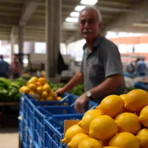 Bayburtta Limon Fiyatlari Patladi Haberler