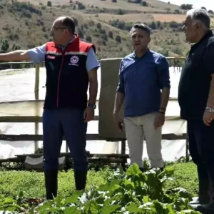 Bayburtta Tarim Muduru Eko Koyde Incelemelerde Bulundu