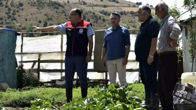 Bayburtta Tarim Muduru Eko Koyde Incelemelerde Bulundu