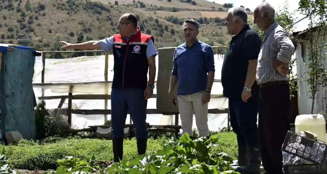 Bayburtta Tarim Muduru Eko Koyde Incelemelerde Bulundu
