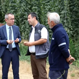 Bilecik Pazaryerinde Serbetci Otu Uretimi Incelendi